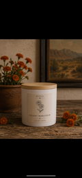 Desert Marigold