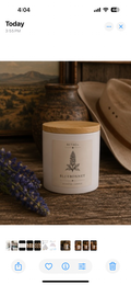 Bluebonnet