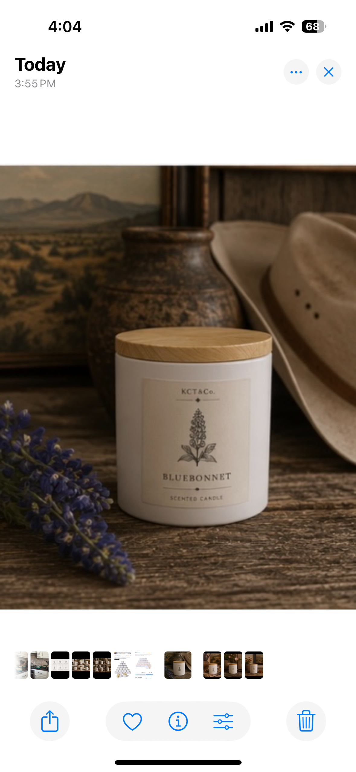 Bluebonnet